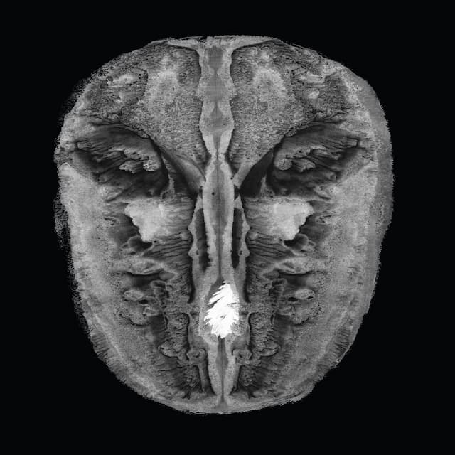 Irmler-Oesterhelt-Modern String Quartet: Die Gesänge des Maldoror